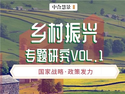 中合慧景乡村振兴专题研究VOL1.0 | 规划先行，彰显特色！