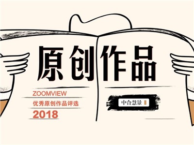 不容错过！2018年度优秀ZOOMVIEW原创获奖作品特辑！